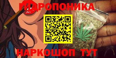 мяу мяу мука Пенза